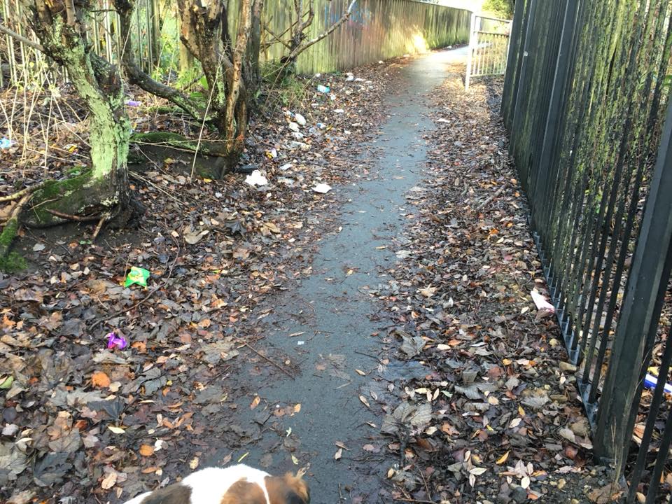 An alley covered in litter, down the side of Wingates Park.