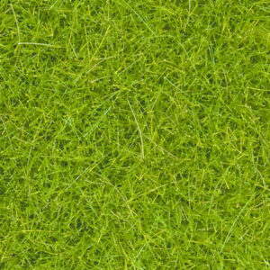Scenery, Grass, Scatters, Cork, Trees