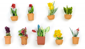 GM1643 GAUGEMASTER FLOWERS IN POTS SET A x9