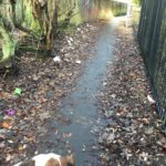 An alley covered in litter, down the side of Wingates Park.